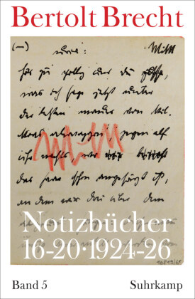 Notizbücher 16-20: Band 5: 1924-1926