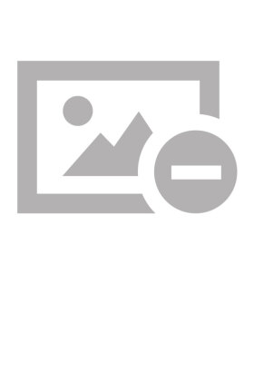 Elektrophoretische Analysetechniken