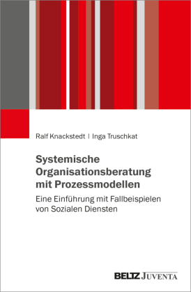 Systemische Organisationsberatung mit Prozessmodellen: Eine Einführung mit Fallbeispielen von Sozialen Diensten