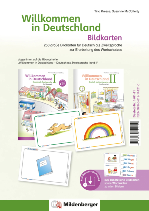 Willkommen in Deutschland - Bildkarten: 250 große Bildkarten für Deutsch als Zweitsprache zur Erarbeitung des Wortschatzes