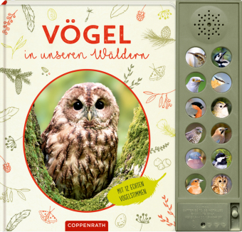Vögel in unseren Wäldern: Mit 12 echten Tierstimmen: Soundbuch mit 12 bestechend klaren Vogelstimmen, Waldtiere erkennen für Natur-Entdecker ab 6 Jahren