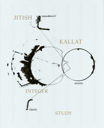 Jitish Kallat. Integer Study: Drawing from Life