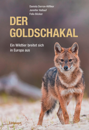 Der Goldschakal: Ein Wildtier breitet sich in Europa aus