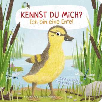 Kennst du mich? Ich bin eine Ente!: Erstes Sachwissen über Tierkinder I Niedliches Pappbilderbuch für Kinder ab 2 Jahren