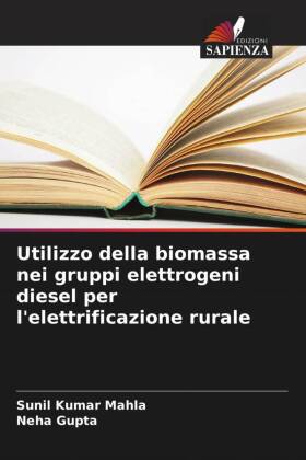 Utilizzo della biomassa nei gruppi elettrogeni diesel per l'elettrificazione rurale