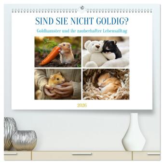 Sind sie nicht goldig? (hochwertiger Premium Wandkalender 2026 DIN A2 quer), Kunstdruck in Hochglanz: Fluffige Momente mit Goldhamstern