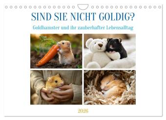 Sind sie nicht goldig? (Wandkalender 2026 DIN A4 quer), CALVENDO Monatskalender: Fluffige Momente mit Goldhamstern