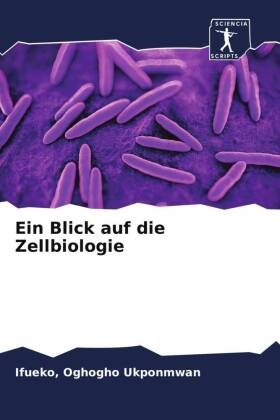 Ein Blick auf die Zellbiologie