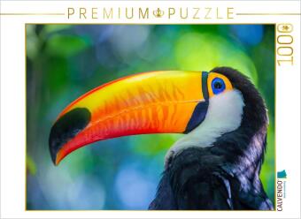 CALVENDO Puzzle Farbenfroher Riesentukan | 1000 Teile Lege-Größe 64x48cm Foto-Puzzle für glückliche Stunden: Riesentukan (Ramphastos toco), Brasilien, Südamerika