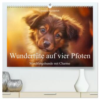 Wundertüte auf vier Pfoten - Mischlingshunde mit Charme (hochwertiger Premium Wandkalender 2026 DIN A2 quer), Kunstdruck: Mischlingshunde - Ein Kalender voller Herz und Charme!
