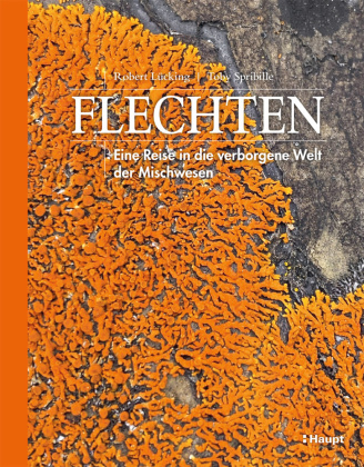 Flechten: Eine Reise in die verborgene Welt der Mischwesen