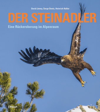 Der Steinadler: Eine Rückeroberung im Alpenraum