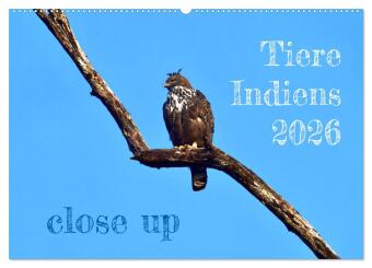 Tiere Indiens close up (Wandkalender 2026 DIN A2 quer), CALVENDO Monatskalender: Auge in Auge mit Wildtieren Indiens