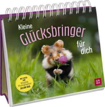 Kleine Glücksbringer für dich: Mit Fotos von Wildlife Photographer Julian Rad | Aufsteller mit süßen und lustigen Tierfotos - ideal für alle Tier- und Naturliebhaber