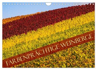 Farbenprächtige Weinberge (Wandkalender 2026 DIN A4 quer), CALVENDO Monatskalender: Die Farbenpracht in den herbstlichen Weinbergen ist absolut faszinierend.