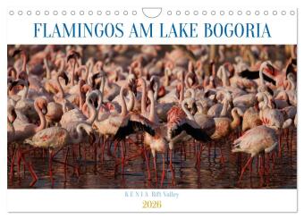 Flamingos am Lake Bogoria - Kenia (Wandkalender 2026 DIN A4 quer), CALVENDO Monatskalender: Flamingos am Lake Bogoria Rift Valley Kenia