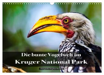 Die bunte Vogelwelt im Kruger National Park (Wandkalender 2026 DIN A3 quer), CALVENDO Monatskalender: Faszinierende Aufnahmen und ein spannender Ausflug in die Vogelvielfalt im Kruger National Park