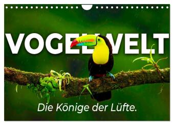 Vogelwelt - Die Könige der Lüfte. (Wandkalender 2026 DIN A4 quer), CALVENDO Monatskalender: 12 unglaubliche Fotos aus der Vogelwelt.
