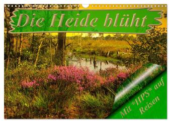Die Heide blüht (Wandkalender 2026 DIN A3 quer), CALVENDO Monatskalender: Die Lüneburger Heide ein Naturparadies in Deutschland.