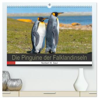 Die Pinguine der Falklandinseln (hochwertiger Premium Wandkalender 2026 DIN A2 quer), Kunstdruck in Hochglanz: Bestaune die schönen, zutraulichen Vögel