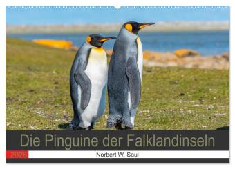 Die Pinguine der Falklandinseln (Wandkalender 2026 DIN A2 quer), CALVENDO Monatskalender: Bestaune die schönen, zutraulichen Vögel