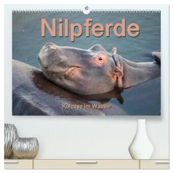 Nilpferde, Kolosse im Wasser (hochwertiger Premium Wandkalender 2026 DIN A2 quer), Kunstdruck in Hochglanz: Atemberaubende Aufnahmen des afrikanischen "Hippos"