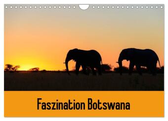 Faszination Botswana (Wandkalender 2026 DIN A4 quer), CALVENDO Monatskalender: Tiere und Landschaften in Botswana