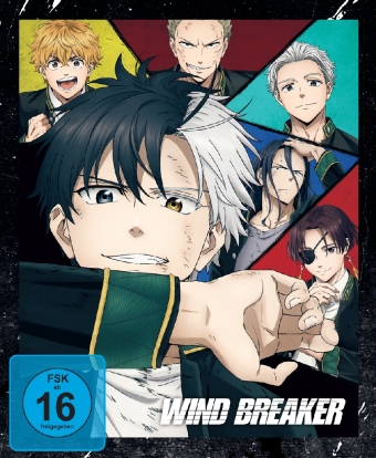 Wind Breaker, 1 DVD (Limited Edition mit Sammelschuber) Staffel.1.1: 175 Min.