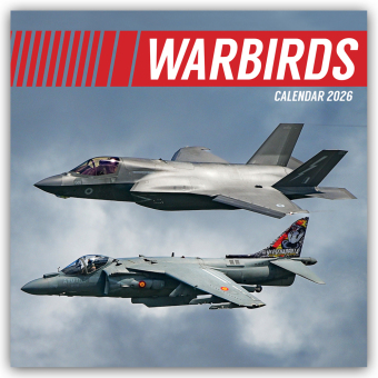 Warbirds - Kampfflugzeuge 2026 - 16-Monatskalender: Original Gifted Stationery-Kalender [ Kalender]