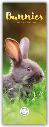 Bunnies - Hasen - Kaninchen 2026 - Slimline-Kalender: Original Carousel Calendar [ Mehrsprachig] [ Kalender]