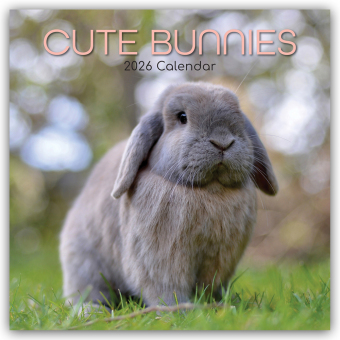 Cute Bunnies - Niedliche Kaninchen 2026 - 16-Monatskalender: Original Gifted Stationery-Kalender [ Mehrsprachig] [ Kalender]