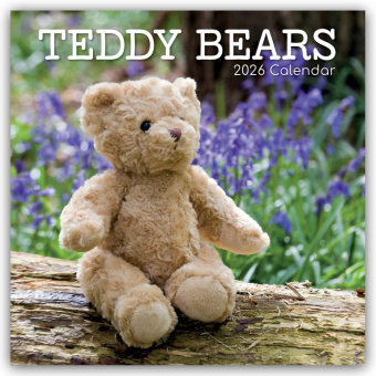 Teddy Bears - Teddybären 2026 - 16-Monatskalender: Original Gifted Stationery-Kalender [ Mehrsprachig] [ Kalender]