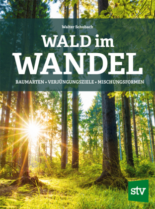 Wald im Wandel: Baumarten, Verjüngungsziele, Mischungsformen