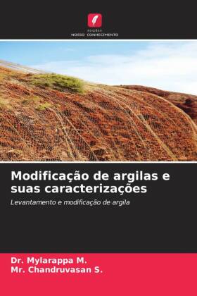 Modificação de argilas e suas caracterizações: Levantamento e modificação de argila