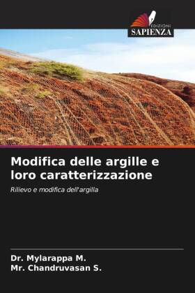 Modifica delle argille e loro caratterizzazione: Rilievo e modifica dell'argilla