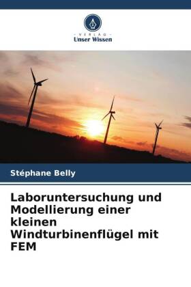 Laboruntersuchung und Modellierung einer kleinen Windturbinenflügel mit FEM