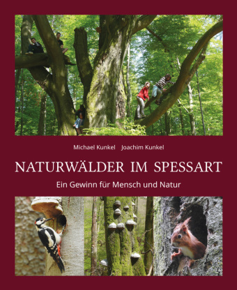Naturwälder im Spessart: Ein Gewinn für Mensch und Natur