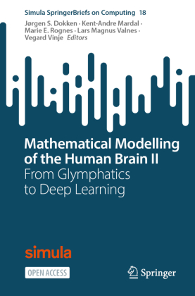 Mathematical Modelling of the Human Brain II: From Glymphatics to Deep Learning