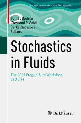 Stochastics in Fluids: The 2023 Prague-Sum Workshop Lectures