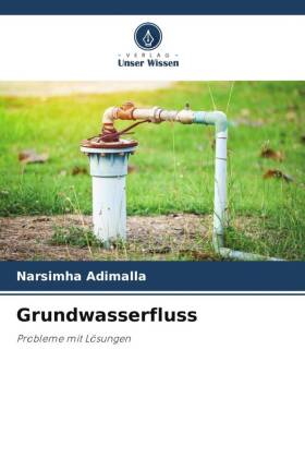 Grundwasserfluss: Probleme mit Lösungen