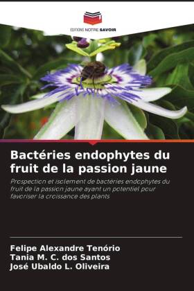 Bactéries endophytes du fruit de la passion jaune: Prospection et isolement de bactéries endophytes du fruit de la passion jaune ayant un potentiel pour favoriser la croissance des plants