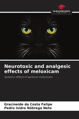 Neurotoxic and analgesic effects of meloxicam: Systemic effects of epidural meloxicam
