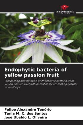 Endophytic bacteria of yellow passion fruit: Prospecting and isolation of endophytic bacteria from yellow passion fruit with potential for promoting growth in seedlings