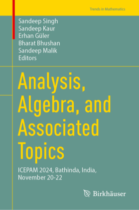 Analysis, Algebra, and Associated Topics: ICEPAM 2024, Bathinda, India, November 20-22