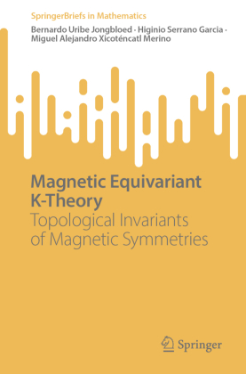 Magnetic Equivariant K-Theory: Topological Invariants of Magnetic Symmetries