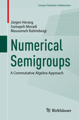Numerical Semigroups: A Commutative Algebra Approach
