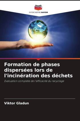 Formation de phases dispersées lors de l'incinération des déchets: Evaluation complète de l'efficacité du recyclage
