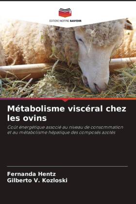 Métabolisme viscéral chez les ovins: Coût énergétique associé au niveau de consommation et au métabolisme hépatique des composés azotés