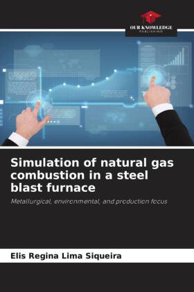 Simulation of natural gas combustion in a steel blast furnace: Metallurgical, environmental, and production focus
