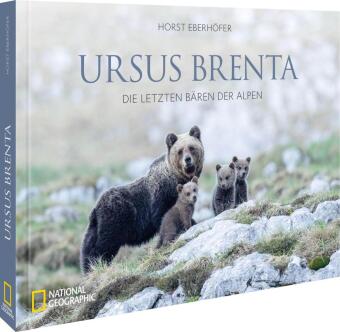 Ursus Brenta - Die Rückkehr der Bären in die Alpen